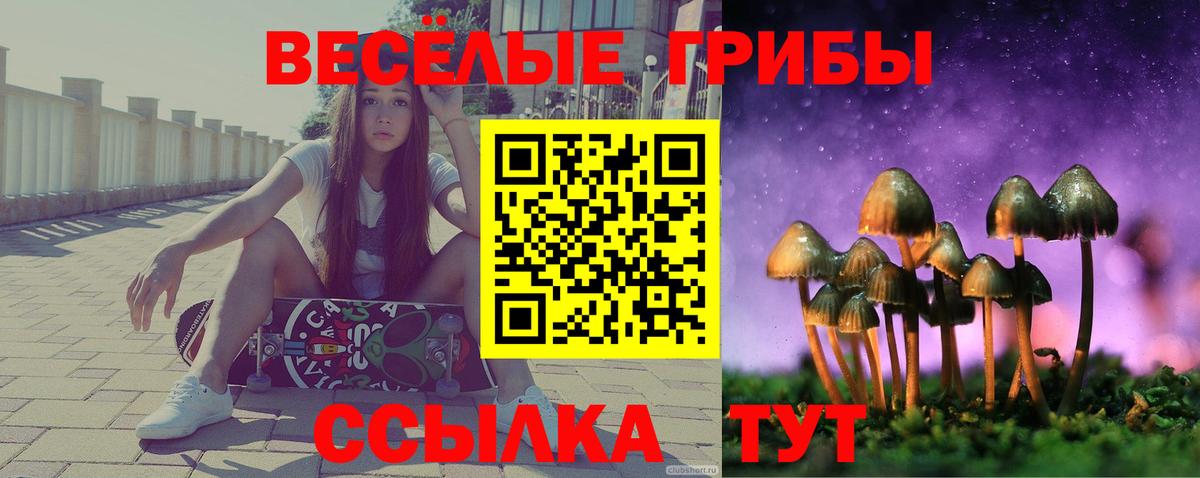 Псилоцибиновые грибы MAGIC MUSHROOMS Тимашёвск